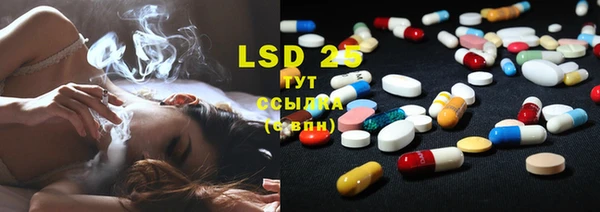 ECSTASY Алзамай