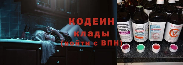 ECSTASY Алзамай