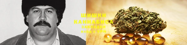 ECSTASY Алзамай