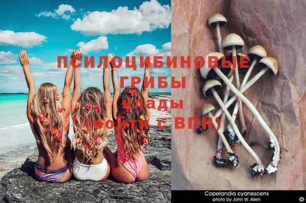 амф Алексеевка