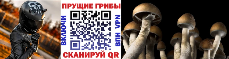 мориарти наркотические препараты Полевской Галлюциногенные грибы MAGIC MUSHROOMS