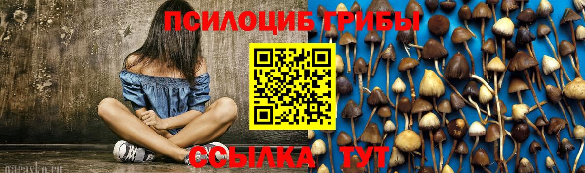Галлюциногенные грибы Magic Shrooms Полевской